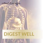 Digest Well
