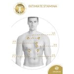 Intimate Stamina Male - Image 2