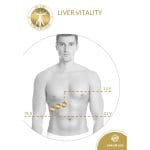 Vitality - Image 2