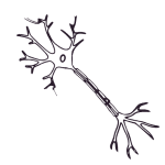 Neuro