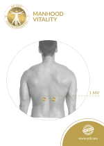 Manhood Vitality - Image 2